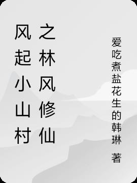 风起小山村之林风修仙