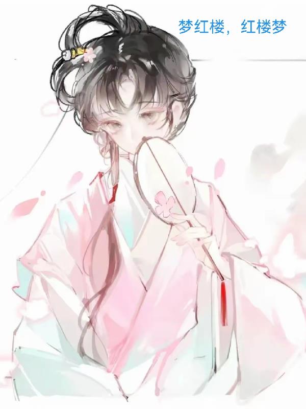 梦红楼，红楼梦